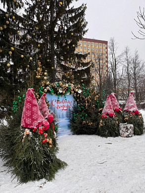В центре Иванова создали оригинальную новогоднюю фотозону